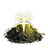 Prismatic Catalyst