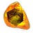 Sanctified Fossil