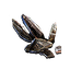 Lesser Essence of Abrasion