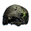 Preserved Cranium