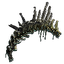 Preserved Vertebrae